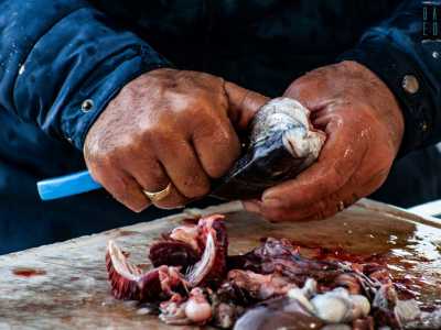 Conosciuto come "Chianello", � impegnato nella pulizia dei saraghi